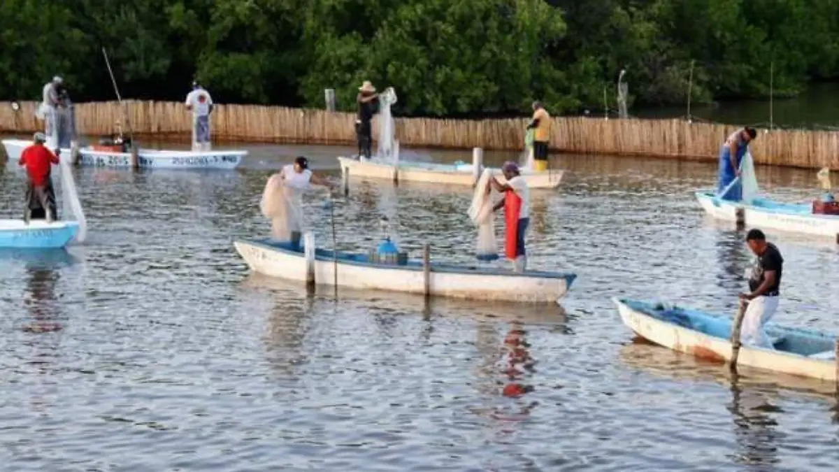 pescadores