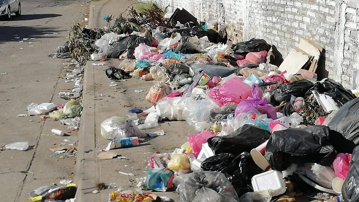 recolección de basura