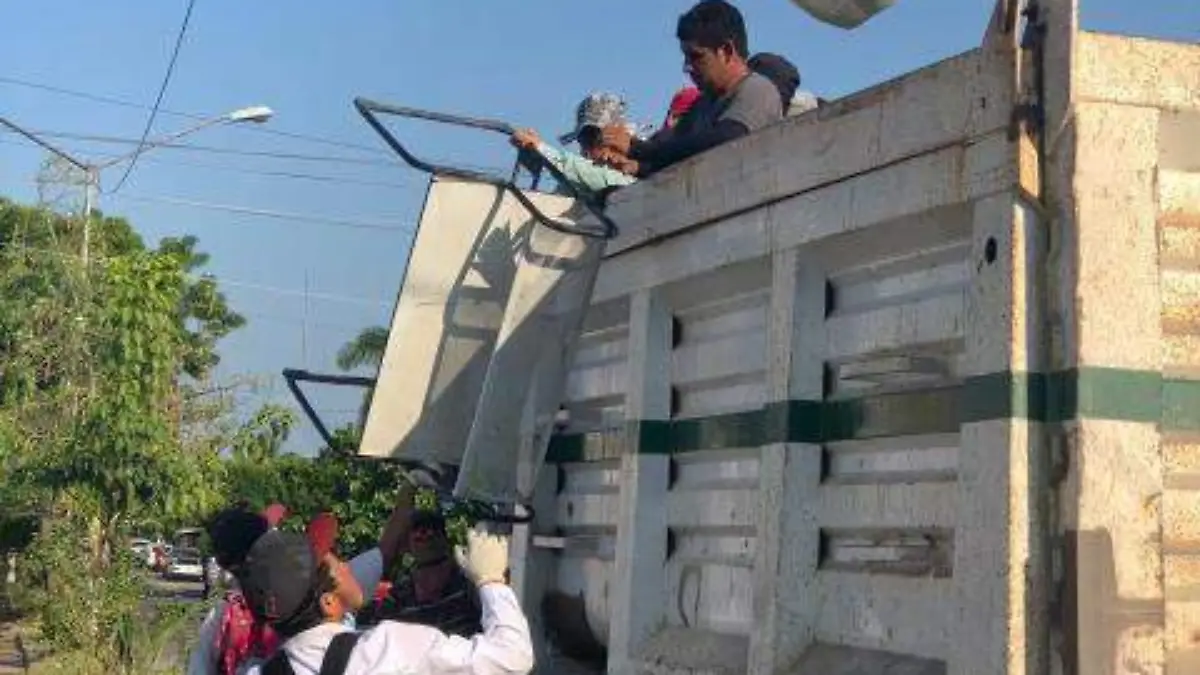 -Confirman-25-casos-de-dengue-en-Sinaloa-