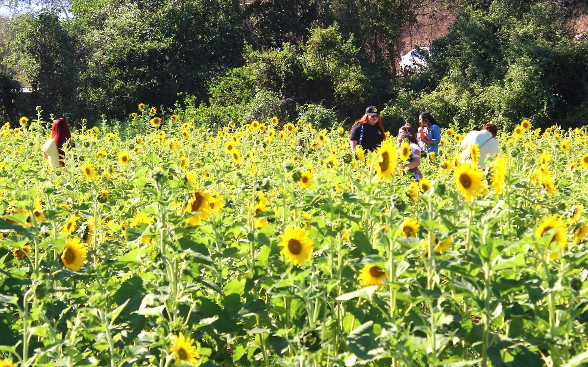 WhatsApp Image 2023-04-19 at 08.07.53