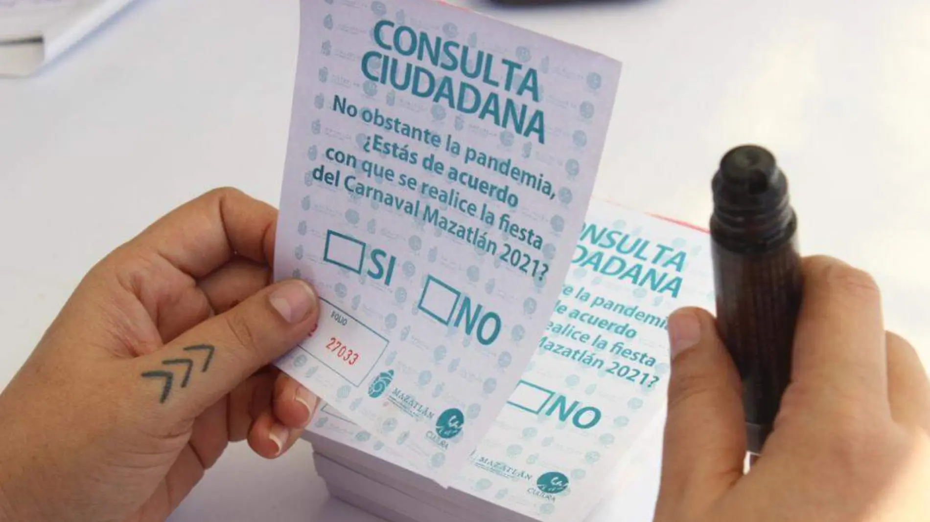 consulta-ciudadana-por-el-carnaval