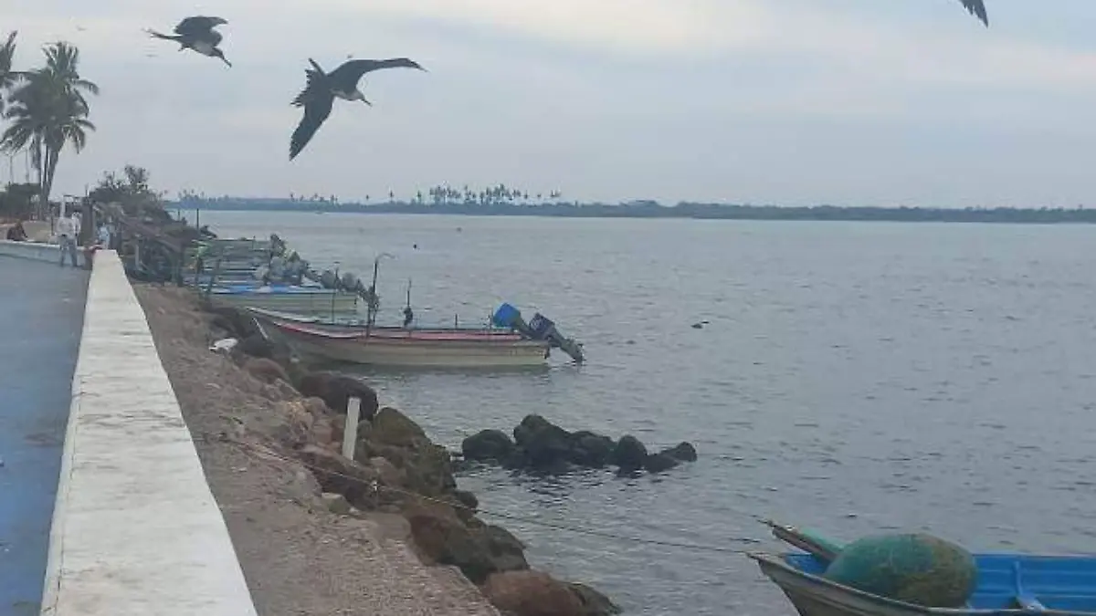 Pesca