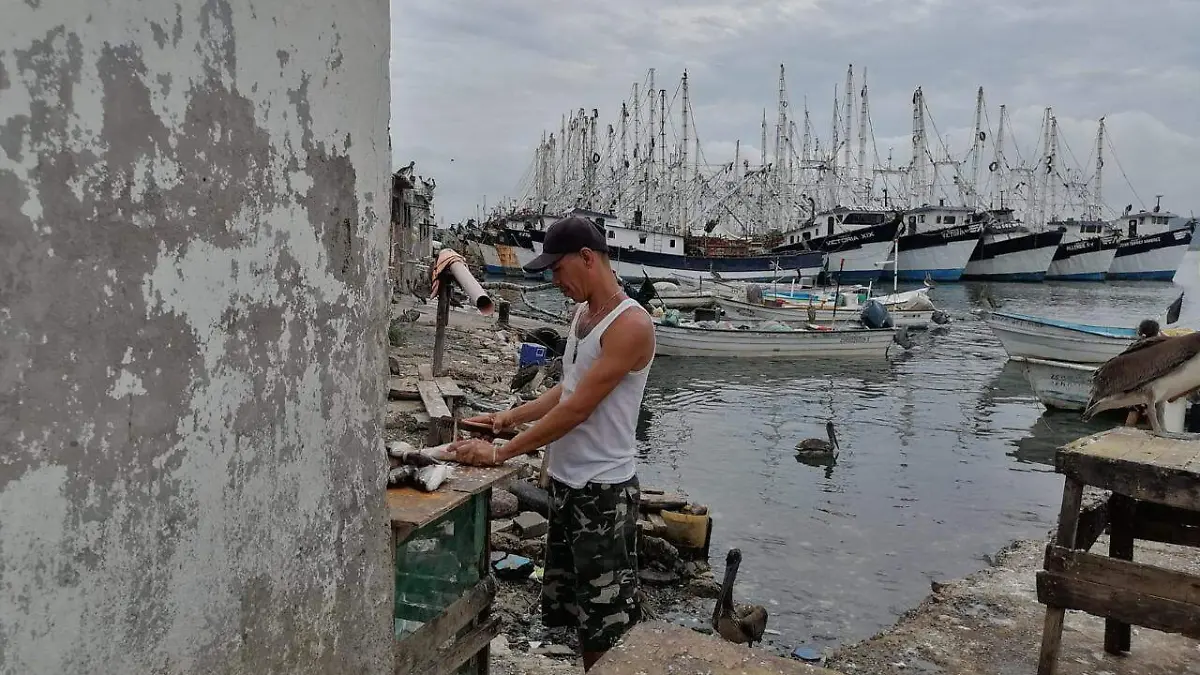 -venta-de-mariscos-en-Mazatlán2-