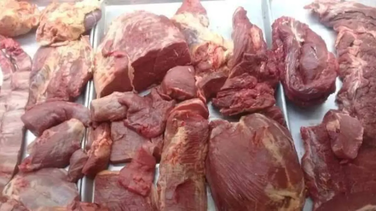 CARNE OK