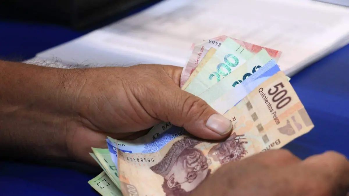 WhatsApp Image 2023-06-16 at 11.14.26