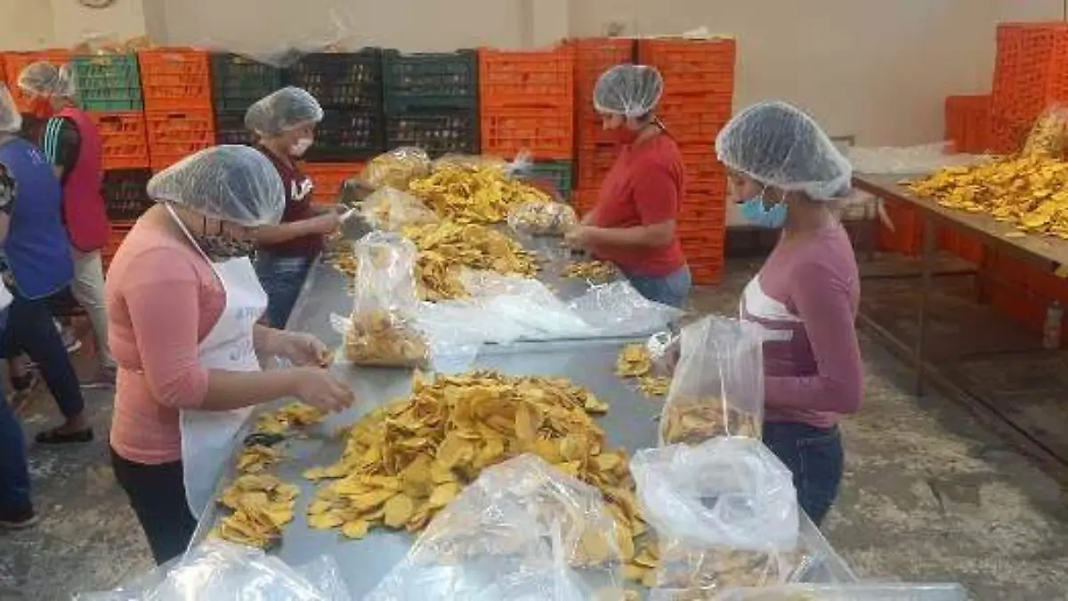 mango-deshidratado-uno