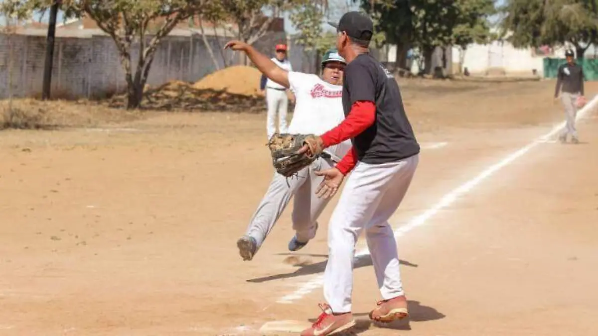 liga-beisbol