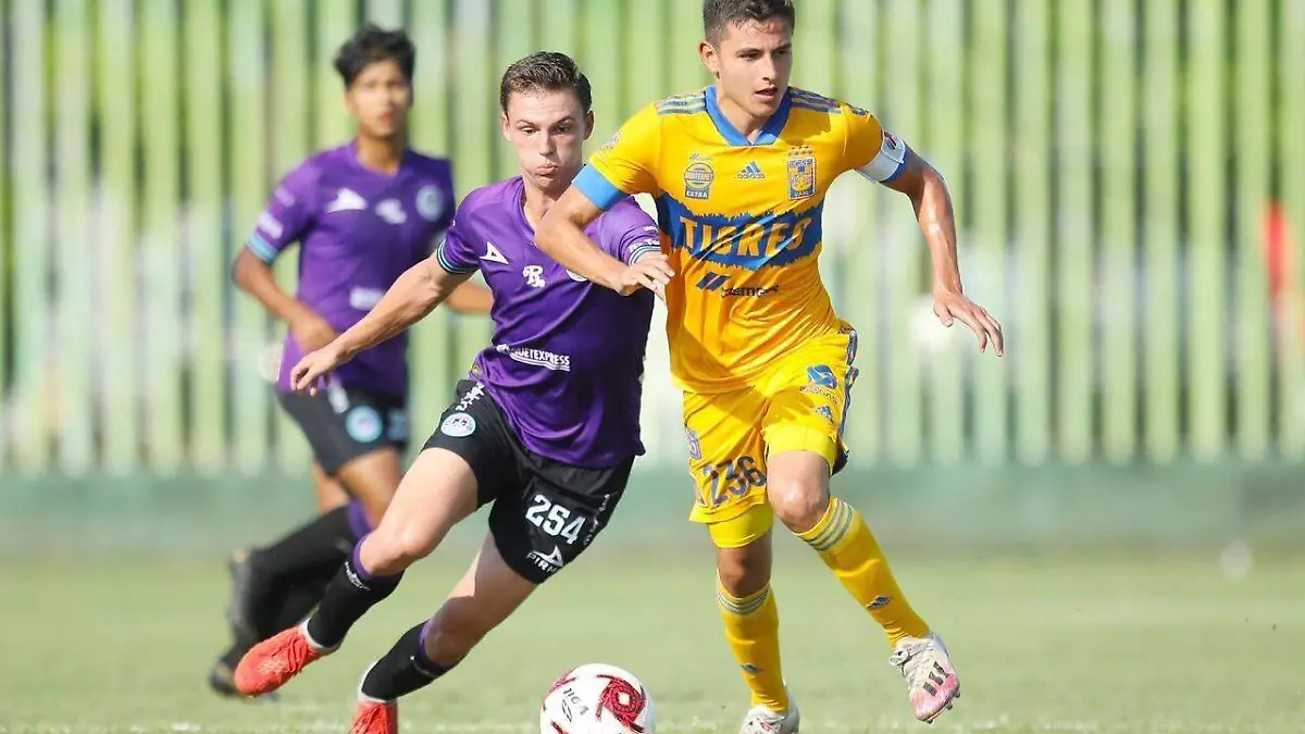 dce97c8c-00d3-4112-ba32-da81db8ff8a8