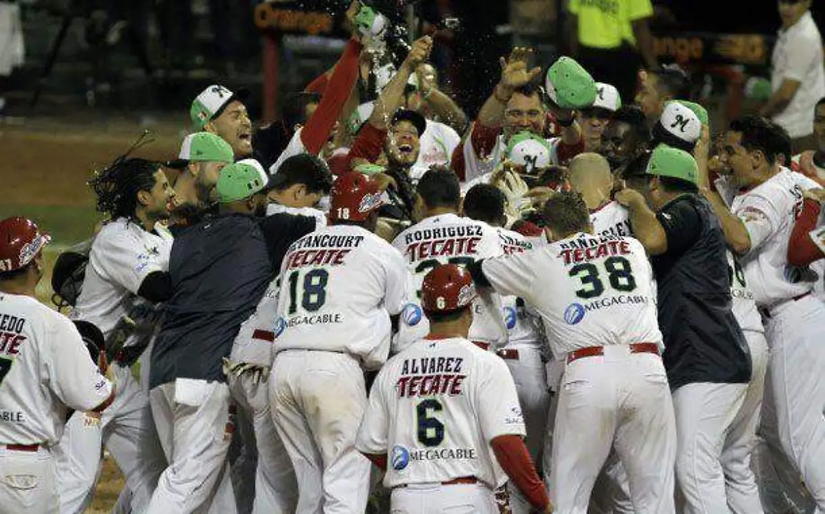 WhatsApp Image 2023-02-11 at 10.55.41