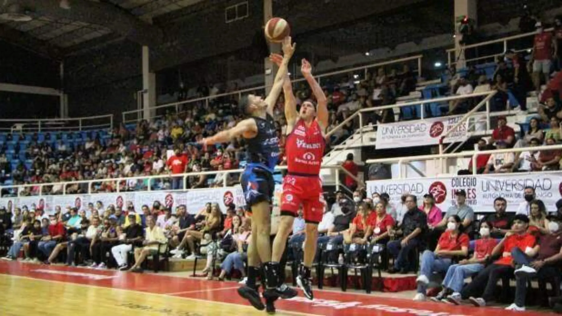 venados-basket