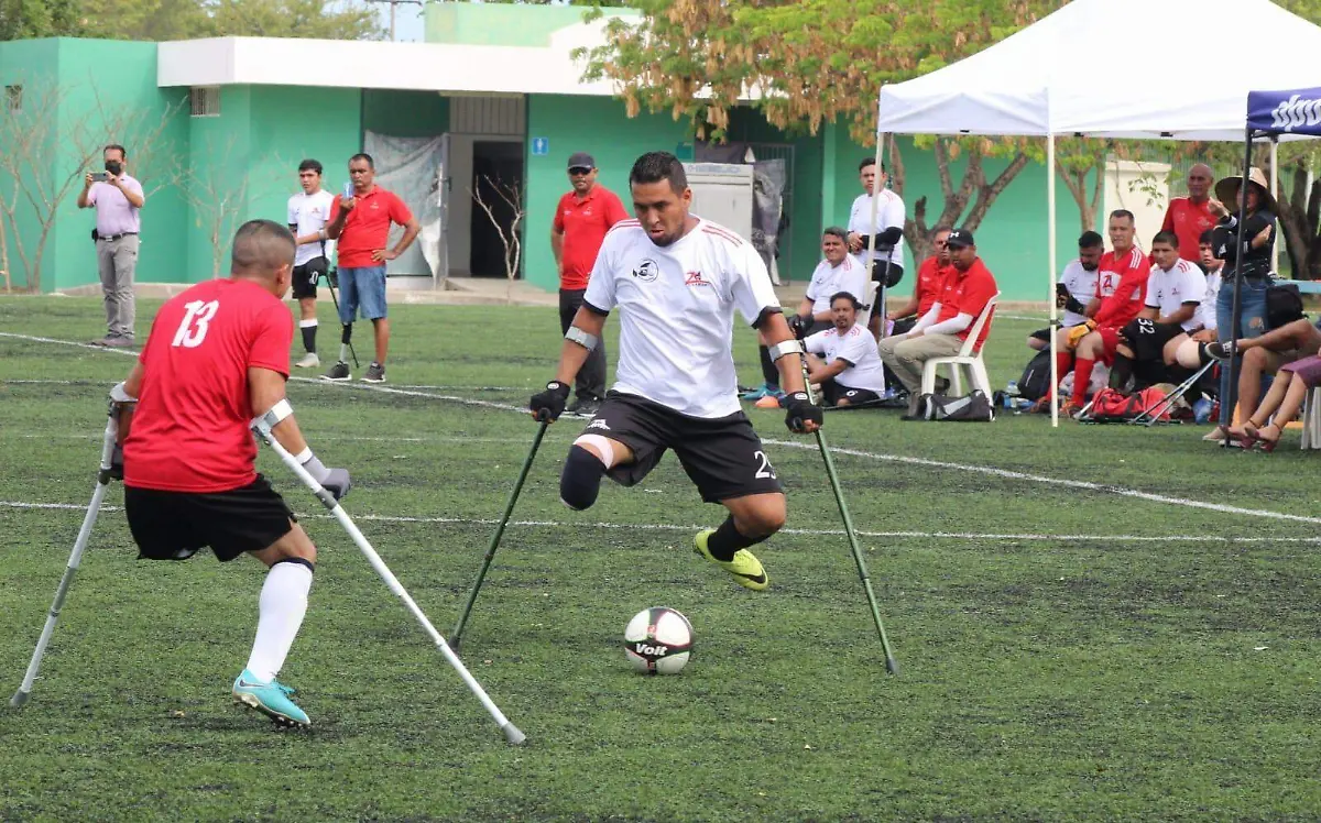 equipo-proan
