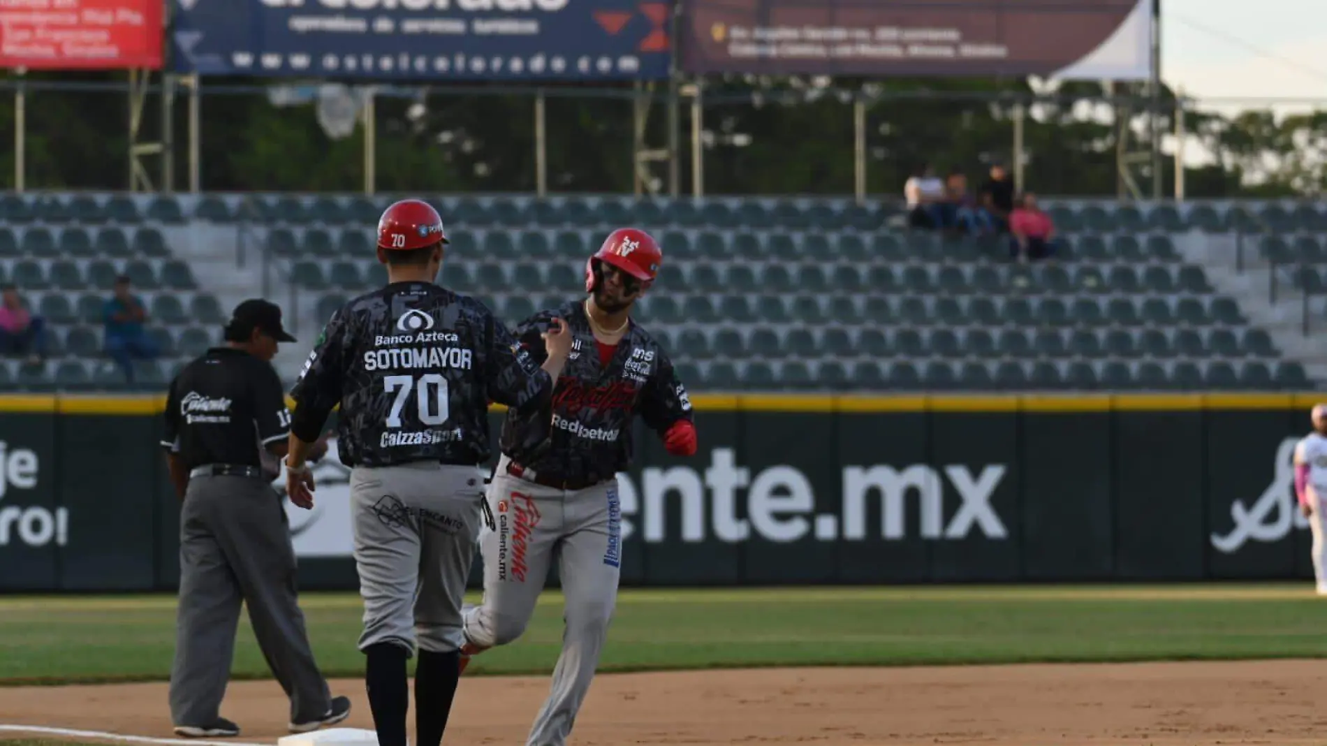 venados-de-mazatlan