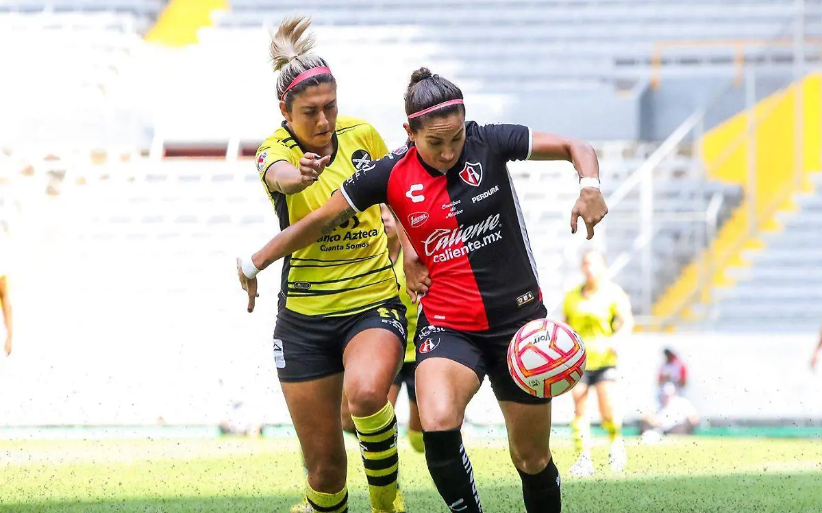 WhatsApp Image 2022-10-15 at 14.00.52