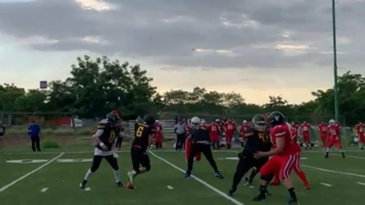 halcones-de-mazatlan (1)