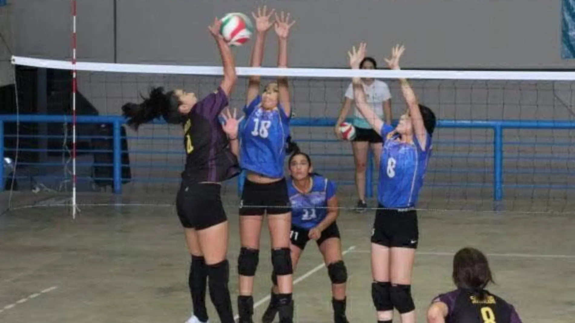 Voleibol