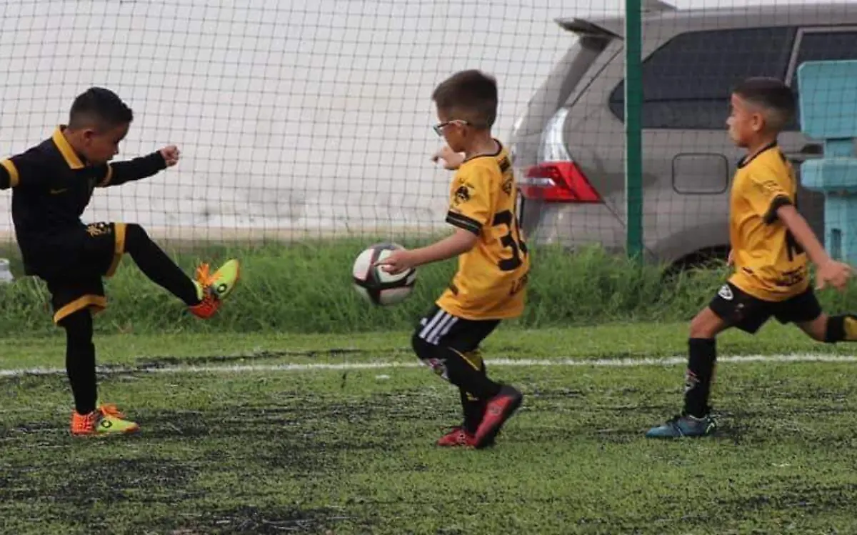 WhatsApp Image 2022-10-02 at 09.53.59