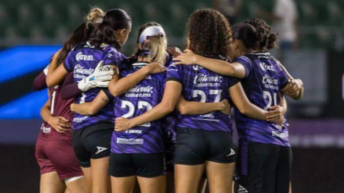 WhatsApp Image 2023-09-19 at 9.15.55 AM