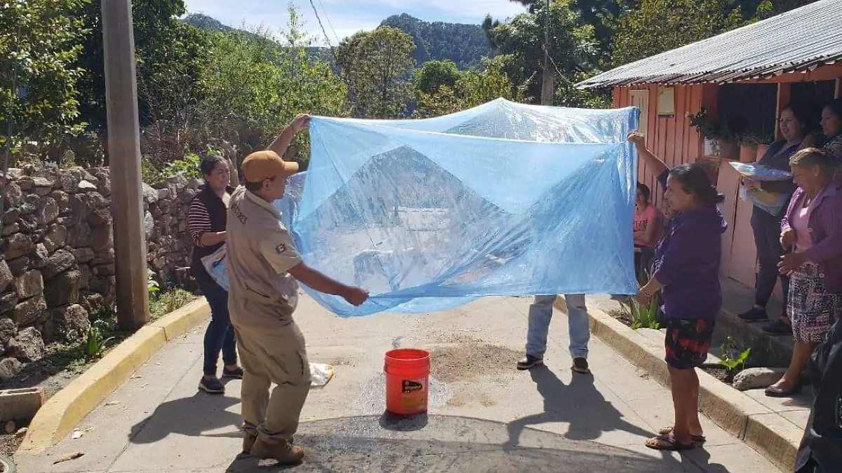 Image 2020-05-21 at 5.37.57 PM (1)