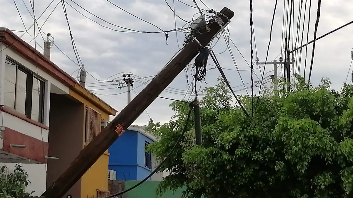 WhatsApp Image 2023-07-25 at 13.39.37