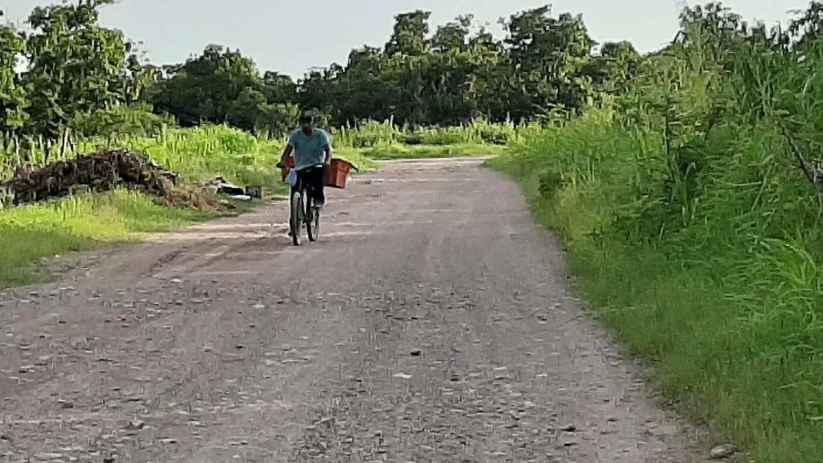 50d02e92-7b1e-4151-8c78-3c5f39d70f98