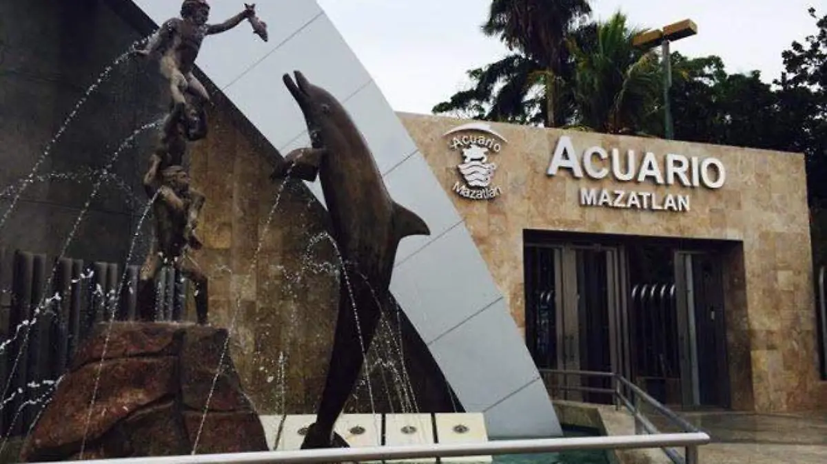 acuario-de-mazatlan