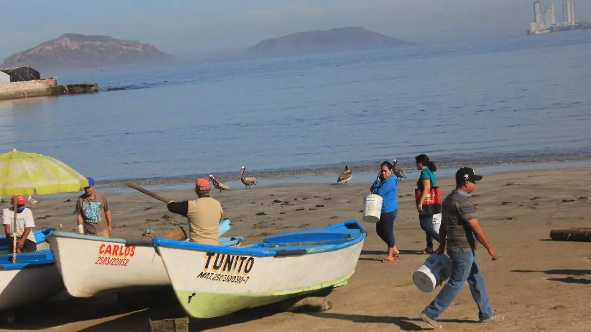 Image 2020-04-17 at 10.52.53 AM (1)