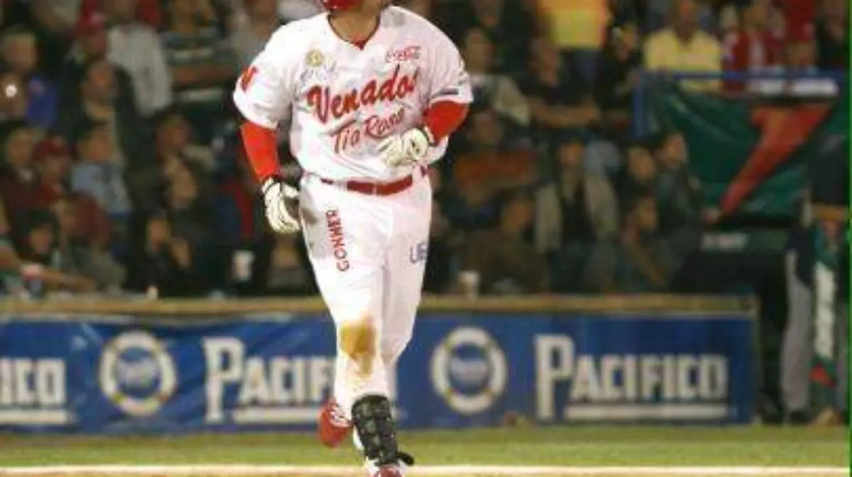 WhatsApp Image 2020-05-03 at 1.28.20 PM (1)