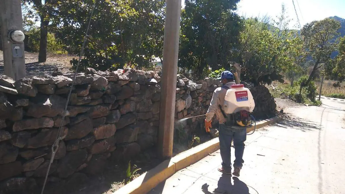 Image 2020-05-21 at 5.37.57 PM