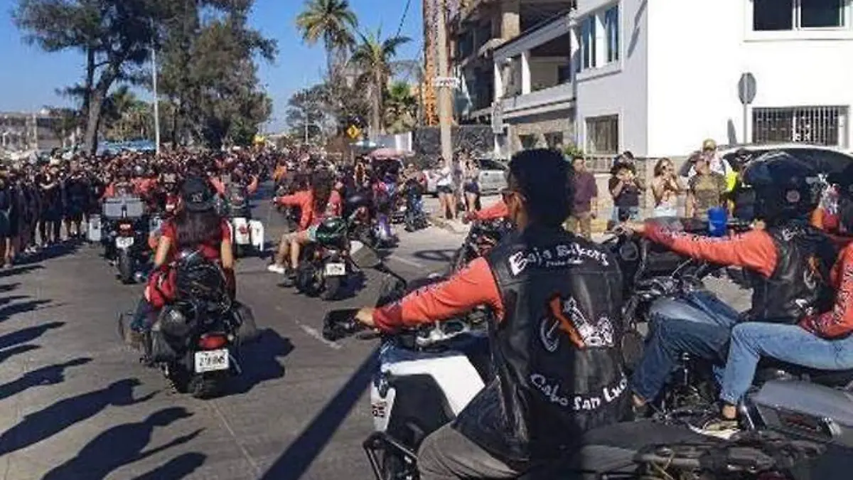 WhatsApp Image 2022-12-19 at 12.20.15