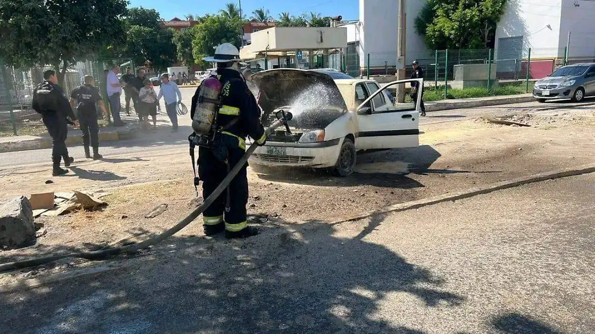 WhatsApp Image 2024-11-13 at 2.39.03 PM