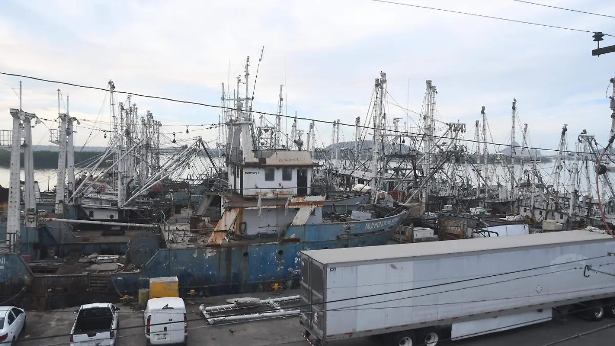 pesca-camaron-bonfil