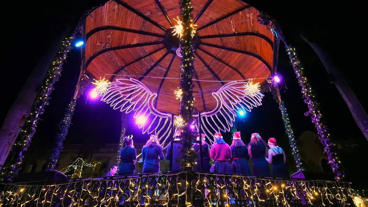 WhatsApp Image 2024-11-26 at 9.54.11 AM