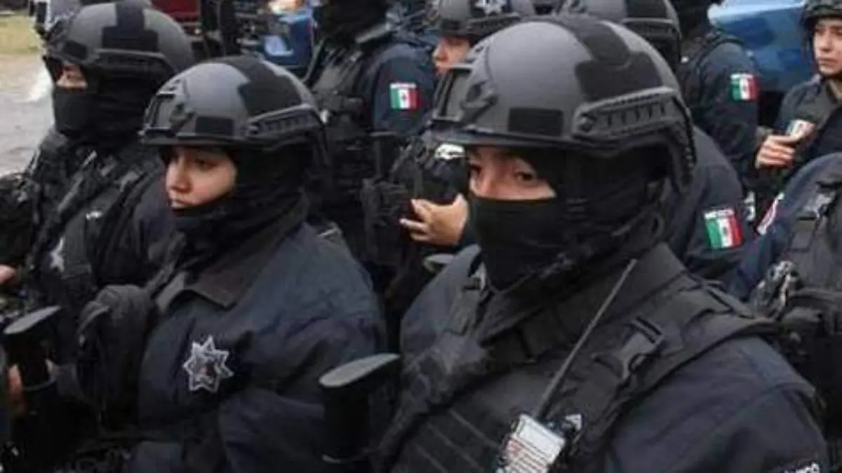 policias mzt