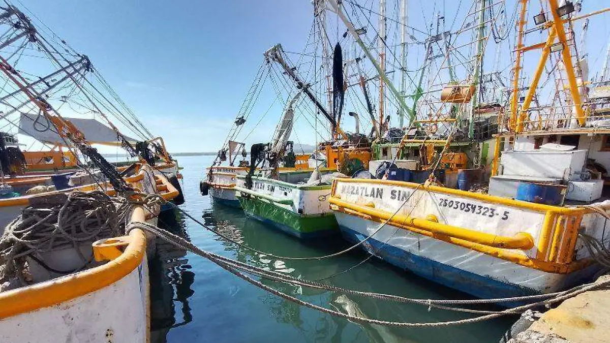 muelle-parque-bonfil