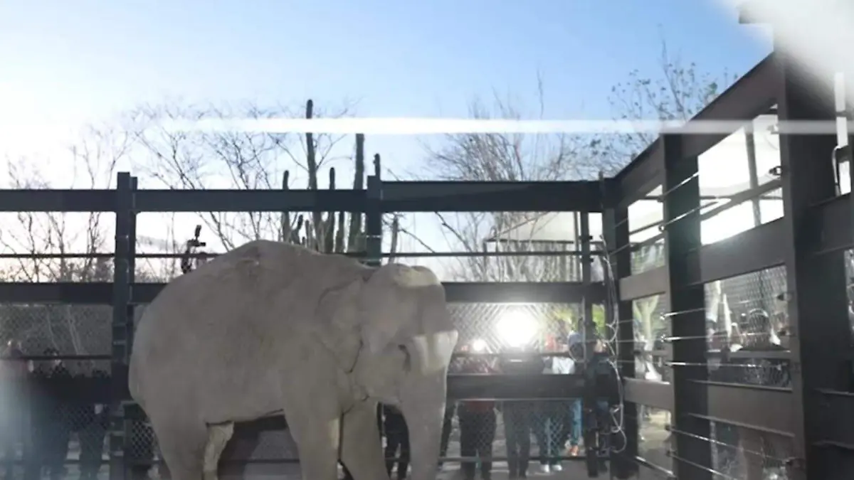 parque1