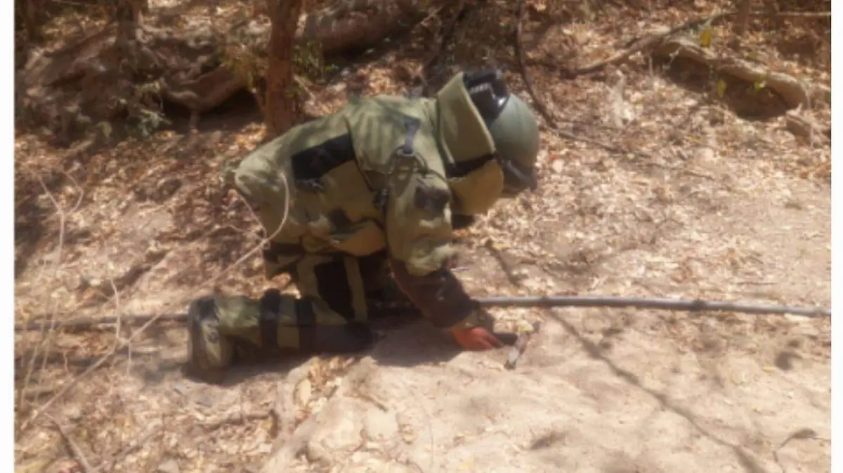 WhatsApp Image 2025-05-24 at 12.56.34 PM