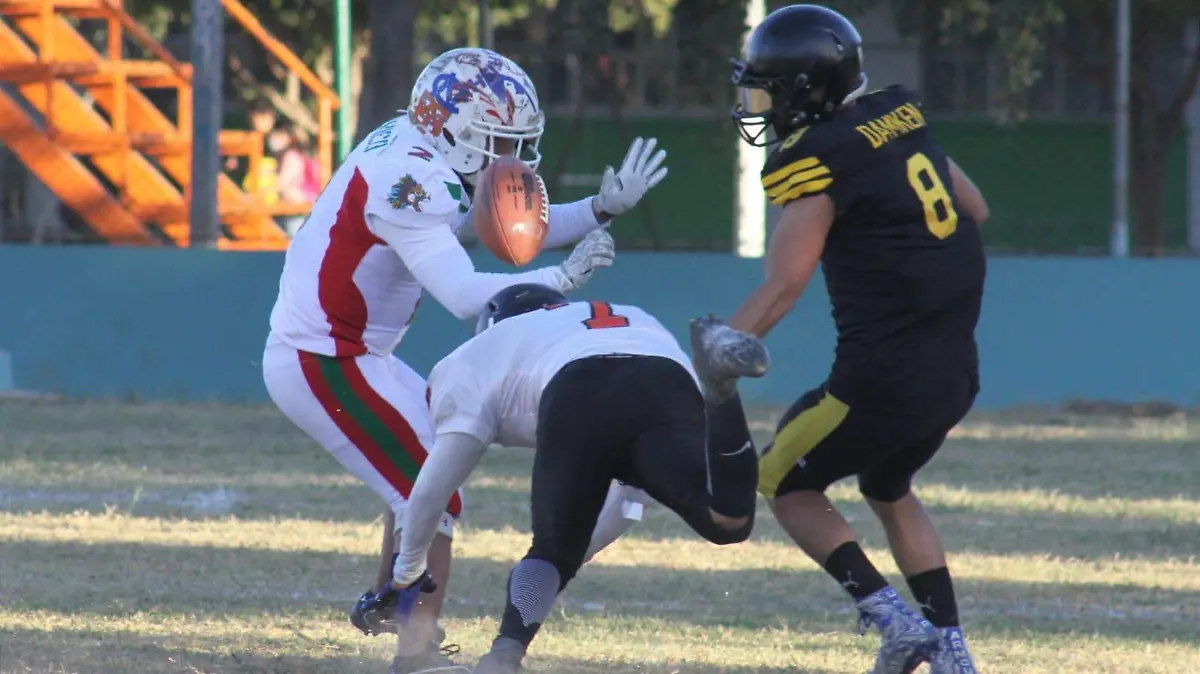 6b57d616-f33f-41d5-9cd6-7b0383d2a316