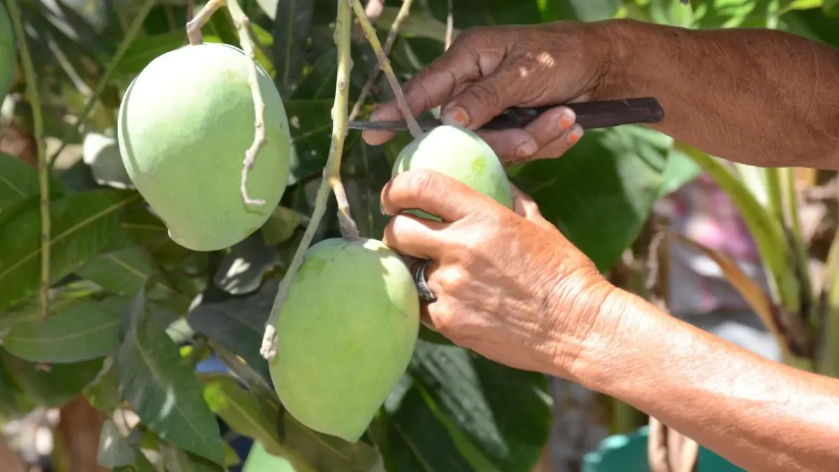 992313d7-0ca3-4cca-909f-ce9f99961587