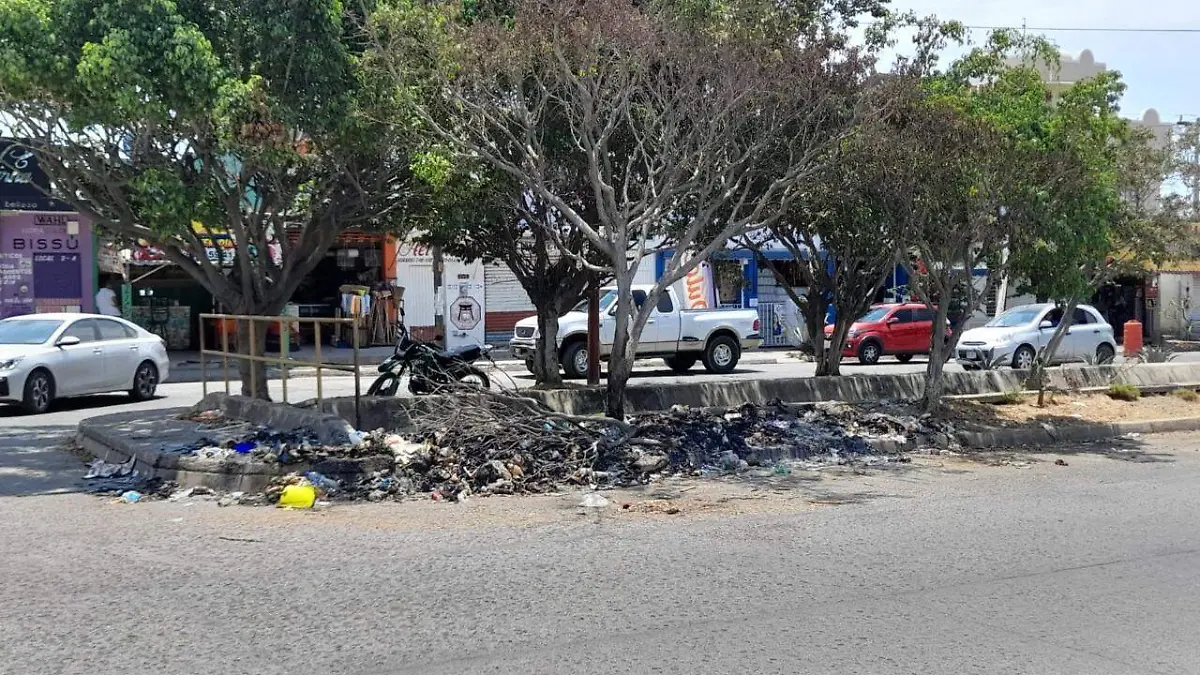 basura2