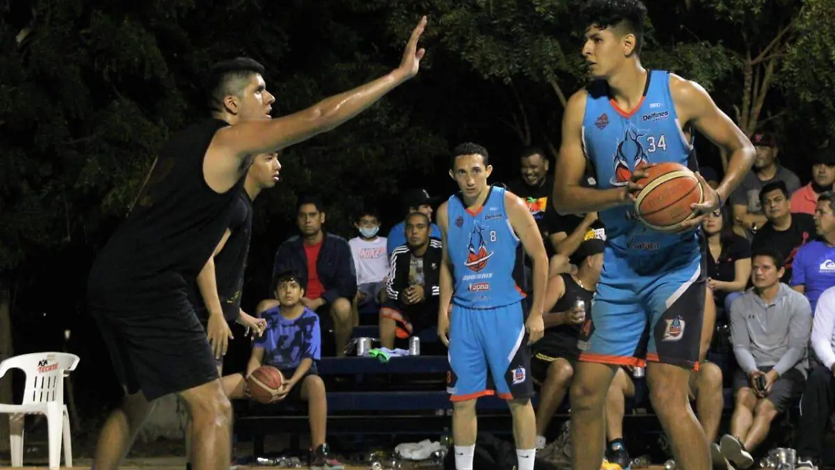 DelfinesMZT