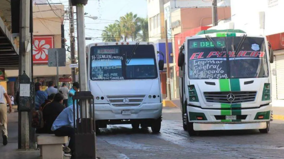 Transporte urbaano MZT