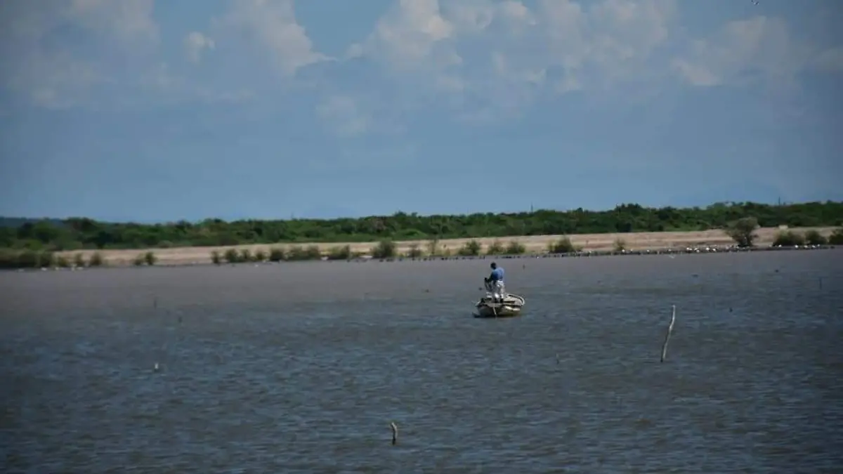 esteros-del-sur-de-sinaloa