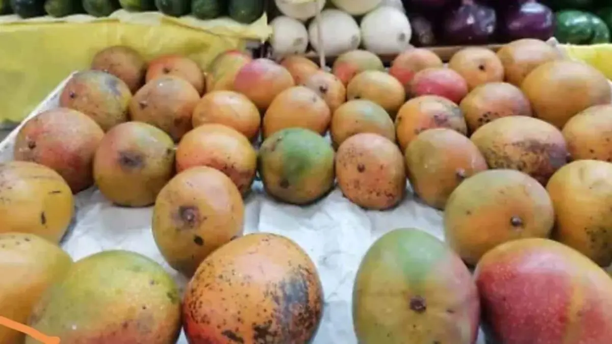 mango