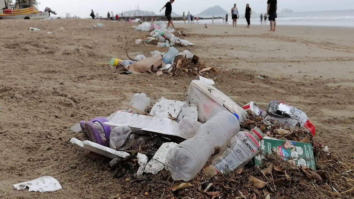 Basura15(portada)