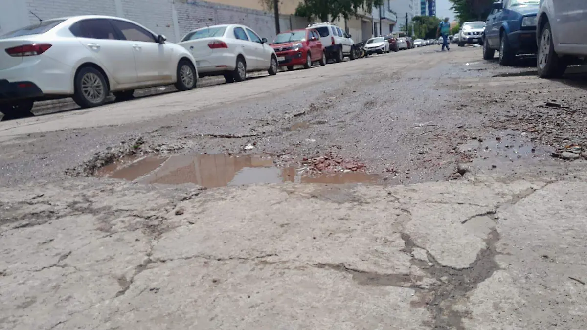 bache