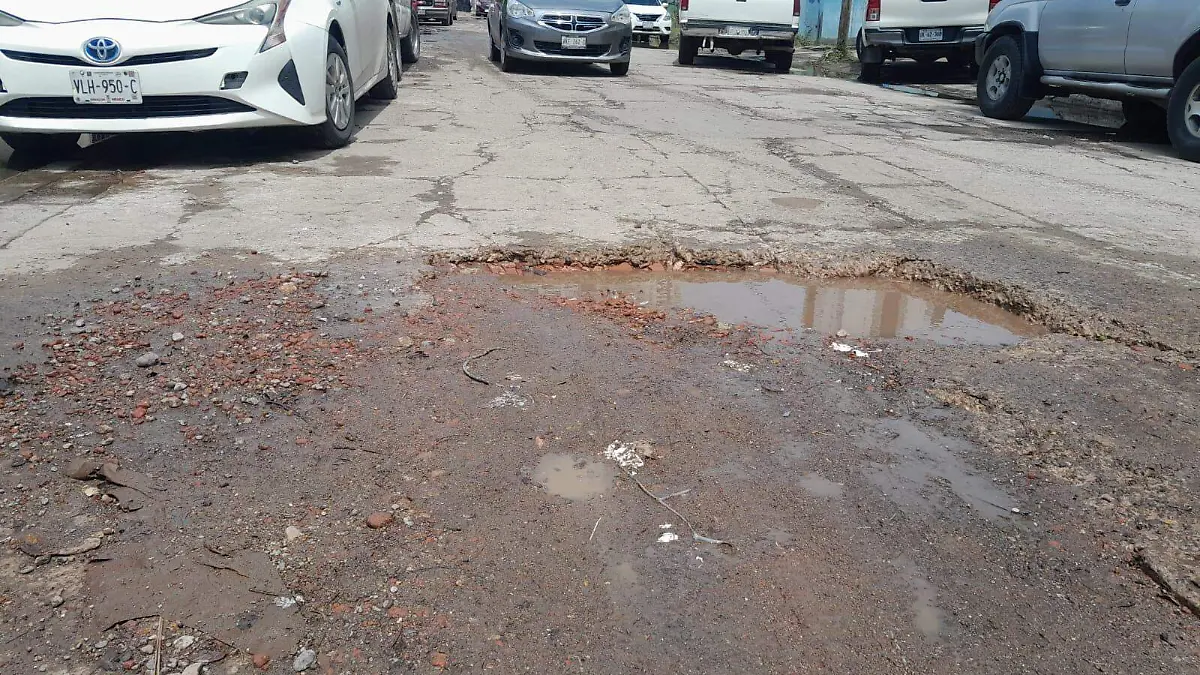 bache1