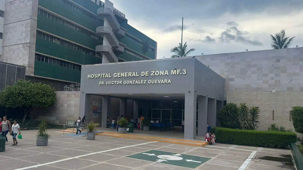 imss maza