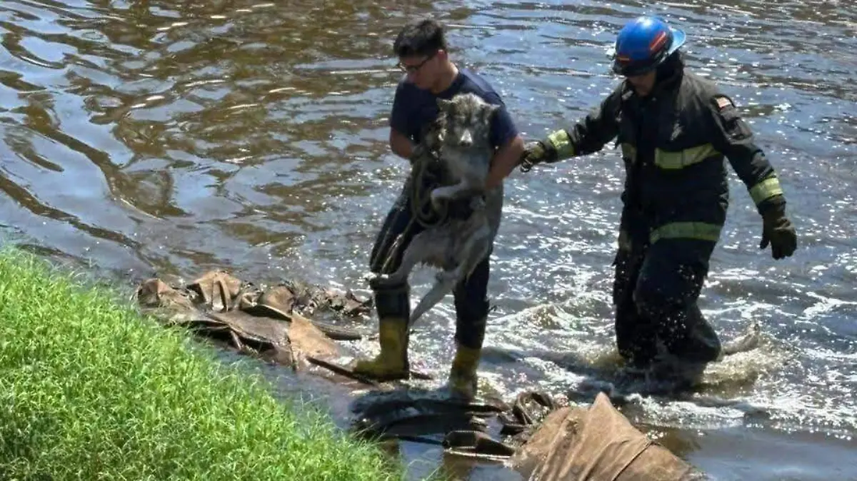 Rescate
