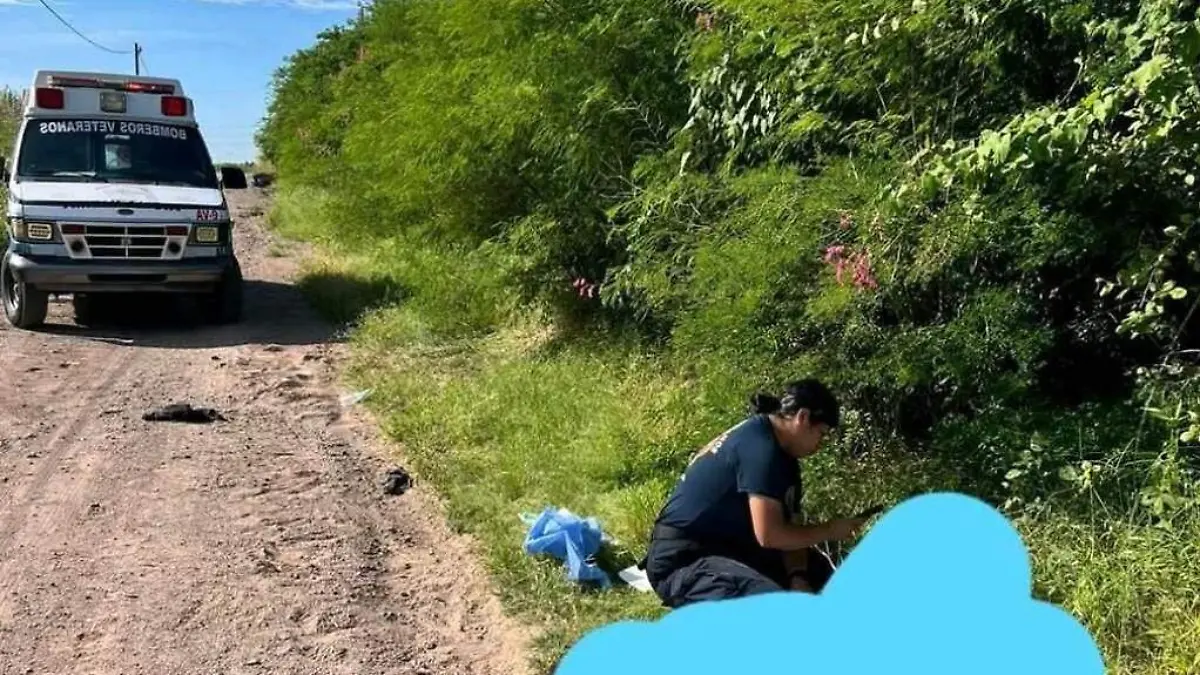 ejecutado