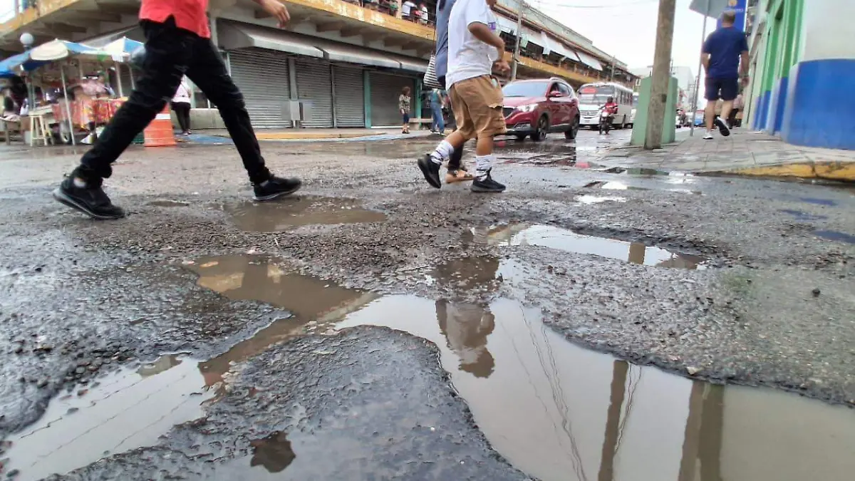 bache1